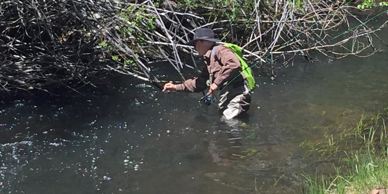 Southern Utahs Pine Valley Recreation Area Fisherdad