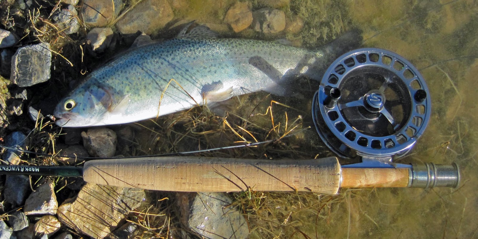 Cold Creek in December – FisherDad